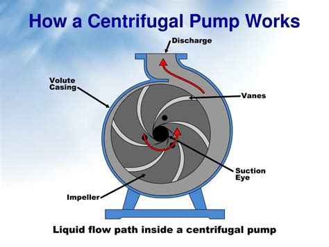 centrifugal pump meaning